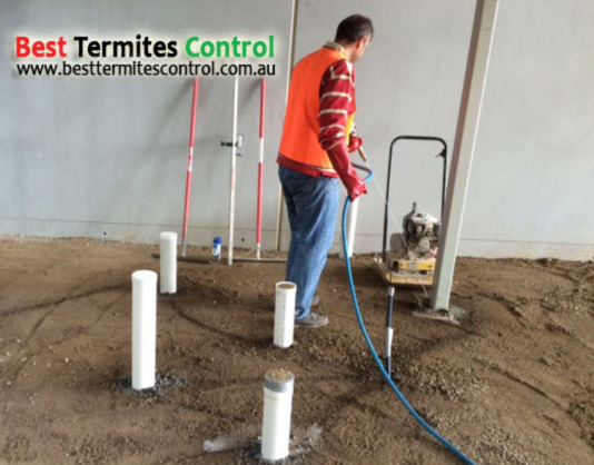 Termite treatment service in Doncaster